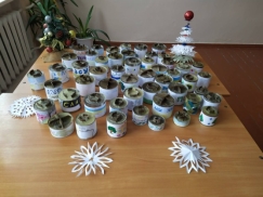 D:\!SYSTEM\Desktop\ОБЕРЕГИ\изображение_viber_2025-03-25_19-03-39-313.jpg
